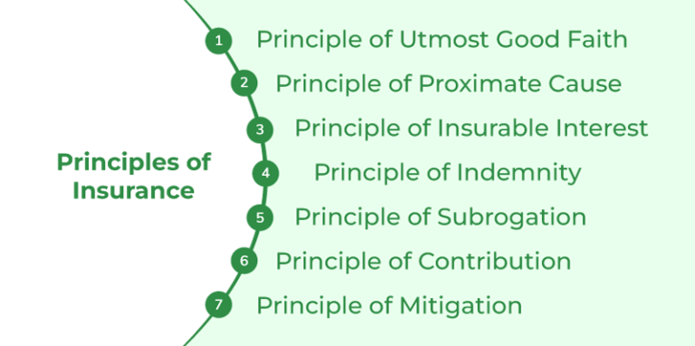 What Are The 5 Principles Of Insurance?
